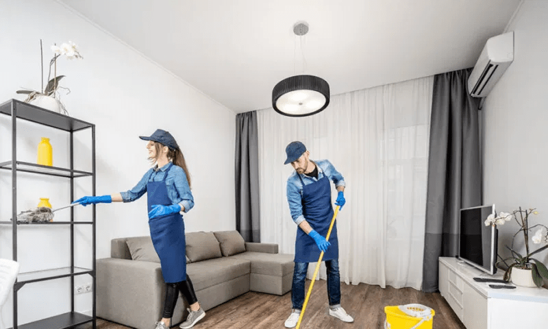 cleaning company theme